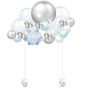 Winter Wonderland Fancy Cloud (1)