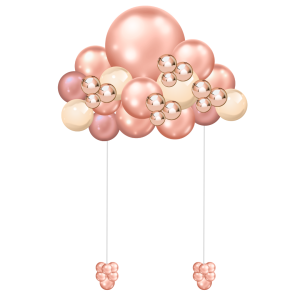 Rose Gold Simple Cloud (2)