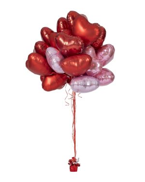 Ziba Photo Video Balloonzilla 0005 (1)