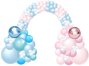 Gender Reveal Organic Arch 2 (1)
