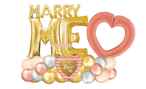 Marry Me Fancy Marquis (1)