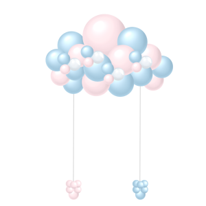 Gender Reveal Simple Cloud (2)