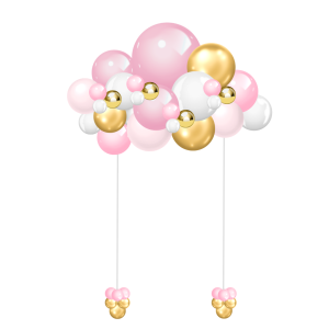 Princess Simple Cloud (3)