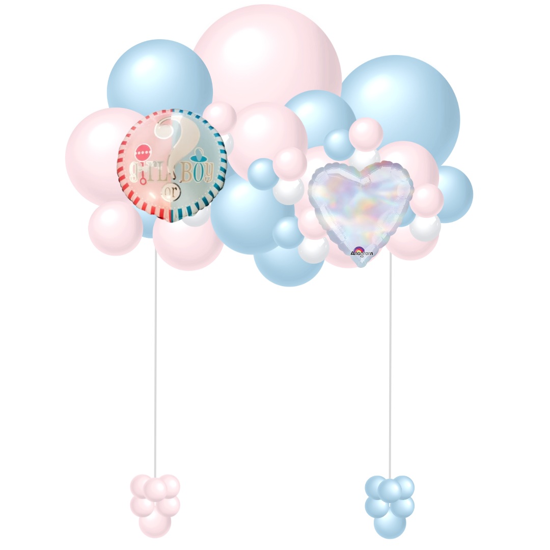 Gender Reveal Fancy Cloud (1)