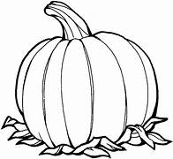 fall