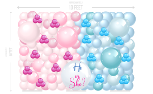Gender Reveal Wall Simple Large