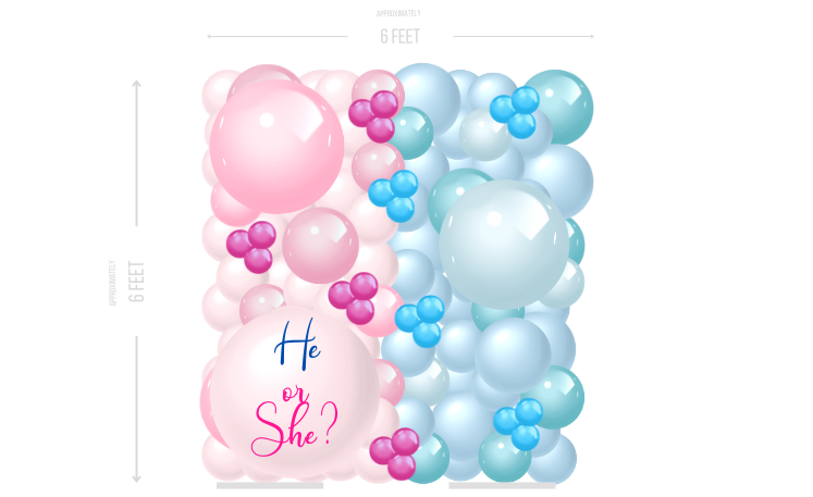Gender Reveal Wall Simple Small
